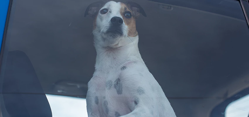 Car Lockout Solutions in Brawley, California